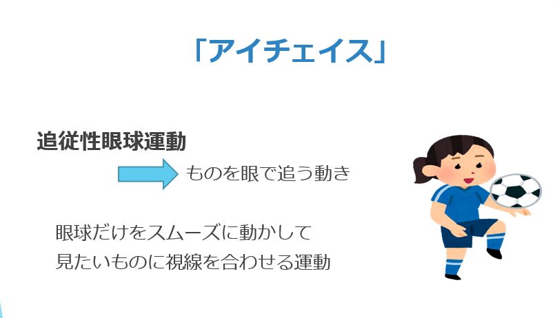 新井啓介『視覚情報の「入力」に必要な「アイジャンプ」と「アイチェイス」』