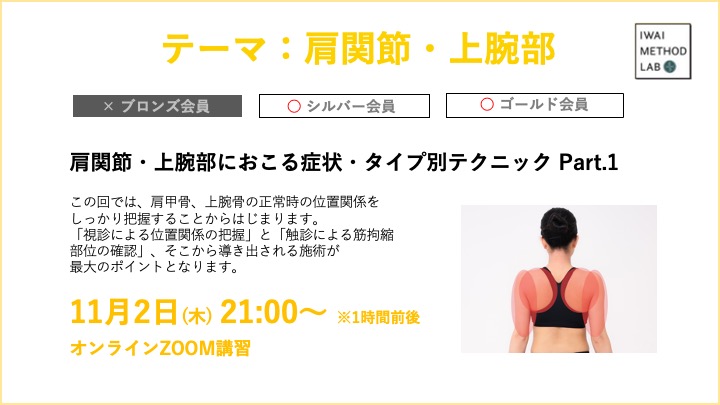 肩関節・上腕部におこる症状・タイプ別テクニック Part.1