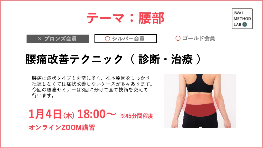 腰痛改善テクニック（ 診断・治療 ）